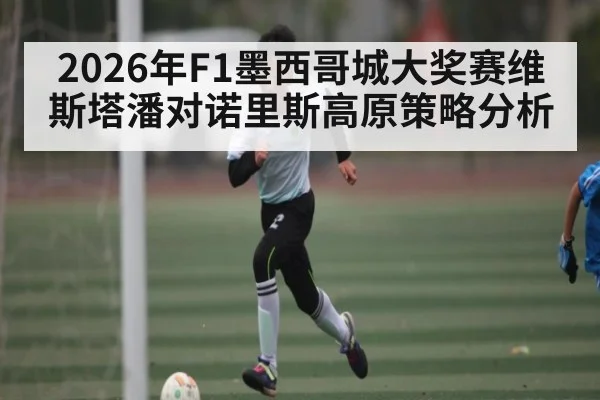 2026年F1墨西哥城大奖赛维斯塔潘对诺里斯高原策略分析
